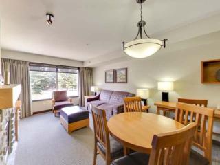 Cozy Condo With Hot Tub Gym and Underground Parking - 2