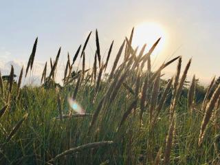 10 person holiday home in Væggerløse-By Traum - 3