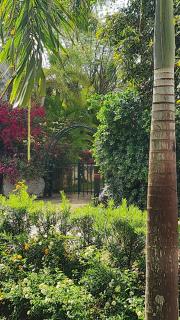 Bayahibe, Tracadero - 9