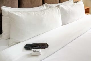 Chihuahua 230 by Wynwood House - 4