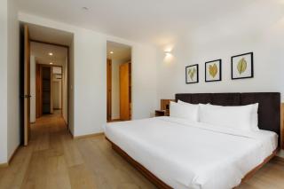 Chihuahua 230 by Wynwood House - 2