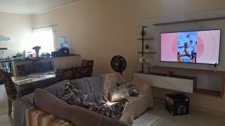 casa esconderijo das aves - 1