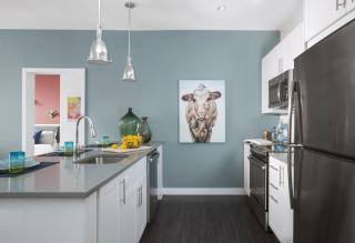 Luxury Apartments by Hyatus at Boston Assembly Row - Somerville - 3