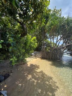 Plage privée - Vahine Ori Lodge - 2