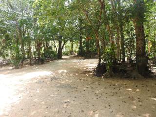 Palapa con cenote privado - 9