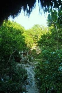 Palapa con cenote privado - 1