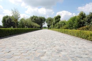 B&B Cottage Sandfort - Zandvoorde - 1