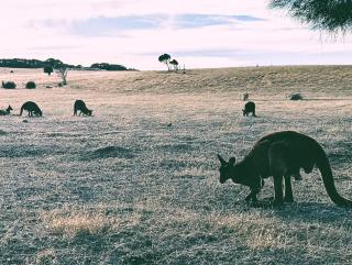 Stones Throw - Brand New Beach House - 3
