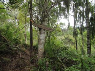 Beaconstone - off grid retreat - 1