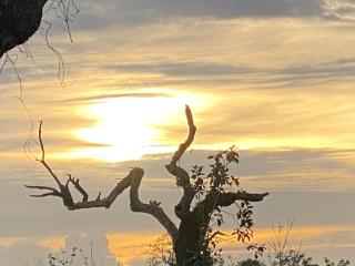 Secret Paradise Panama - 3