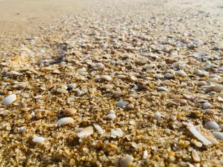 Secret Paradise Panama - 8