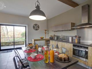 Gite spacieux avec terrasse et wifi à Saint-Paul-en-Jarez - FR-1-496-370 - 6