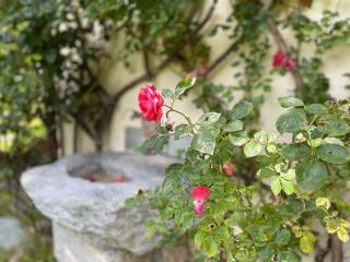 Spacieux appartement 8 pers. avec cheminée à Argentière - FR-1-343-270 - 9