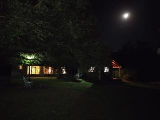 Regocijo del alma - 0