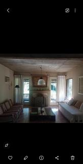 MASCHWITZ , verde y luz - 2