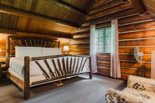 LOGE Alta Crystal - 7