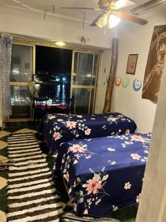 Peacock guest house - 5