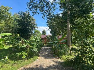 Saneehaa Homestay Resort - 1