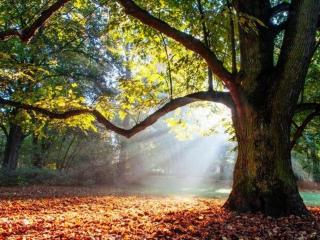 Appartement cosy 70 m2 tout confort 4 personnes - 6