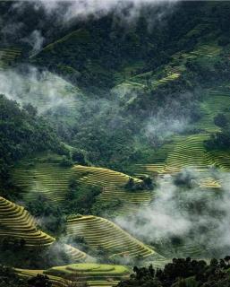Sapana Mountain Retreat - 5
