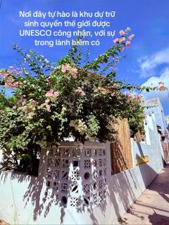 New Yêu Biển homestay - 2