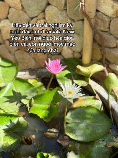 New Yêu Biển homestay - 6