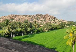 ನಮ್ಮ ಮನೆ Our Home Homestay, Anegundi - 1