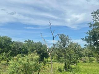 Villa Heavenora - Dambulla - 3