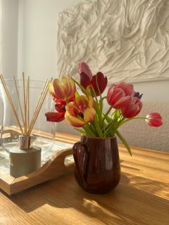 Experience Brussels in Style ! 60m apartment 10 min walk to Grand Place - 5