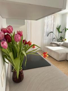 Experience Brussels in Style ! 60m apartment 10 min walk to Grand Place - 8