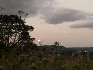 Finca MamaChakra - Cabañas - Camping - 5