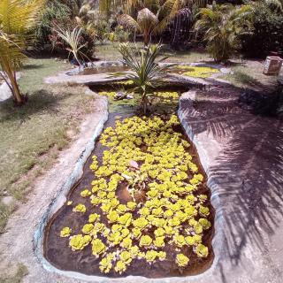 Budi Sun Resort, Flores, Maumere - 6