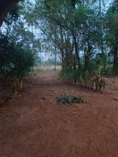 Rosellas Munroe East Kallada - 8