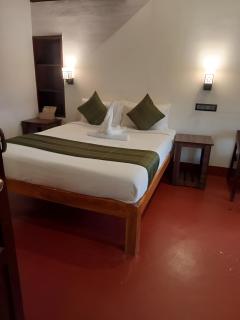Coorg Mystere Luxury Home Stay - 2