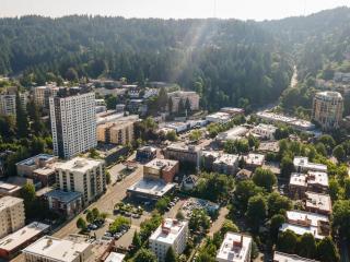 Stay Portland - Elegant World's Fair 4BR Home 97 WalkScore - 9