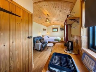 Blodwen - Ukc7016 - 8