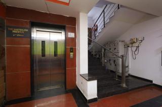 The Whiteglow Premium - 7