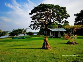 The Yala Camping - 0