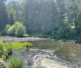 Quiet Anomaly Glamping Forest & Wellness Retreat Adults Only - 5