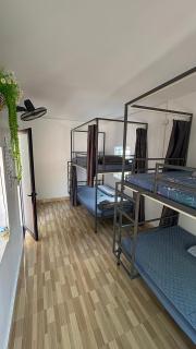 Mikey House Ha Giang - Tour Operator & Homestay - 9