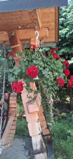 Rustic Maramureș - 4