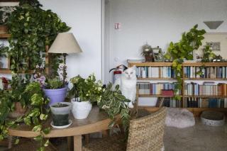 Large Room e Small Private Bathroom Between Mondello Beach and Old Town! Free Park! - Palermo - 7