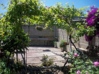 Fuente el Hayedo - San Vicente de la Barquera - 6