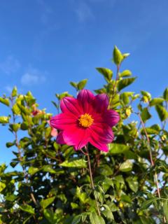 Homely Cottage Near Lake Naivasha, Elwai Visitor Centre - 5