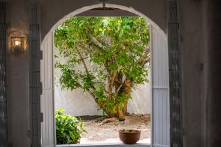Villa du Latanier Bleu with pool - 2
