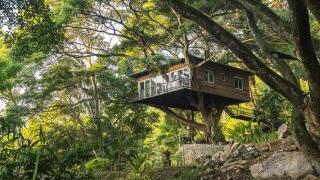 Tree Nature Resort - 4