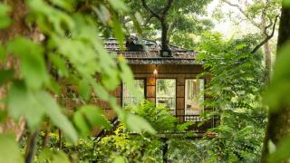 Tree Nature Resort - 4