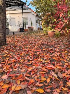 Small cottage guest house - 3