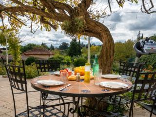L'ecrin Occitan maison climatisée - 0