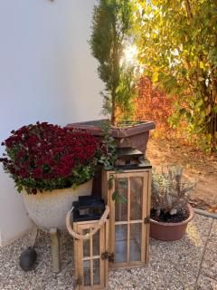 Small cottage guest house - 7